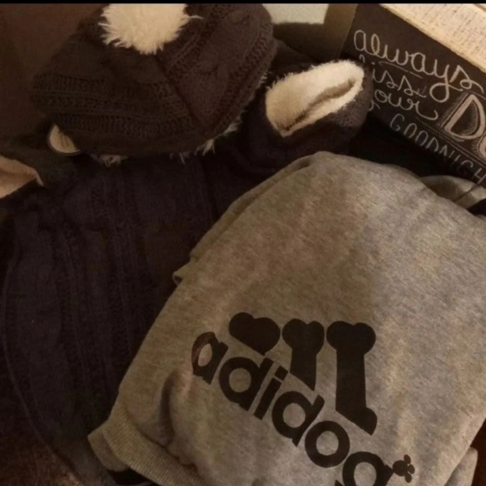 Dog clothes bundle